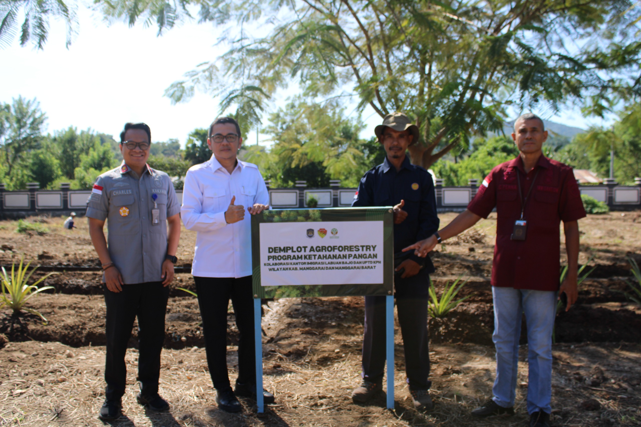 DUKUNG KETAHANAN PANGAN, ARVIN GUMILANG APRESIASI DEMPLOT AGROFORESTRY IMIGRASI LABUAN BAJO